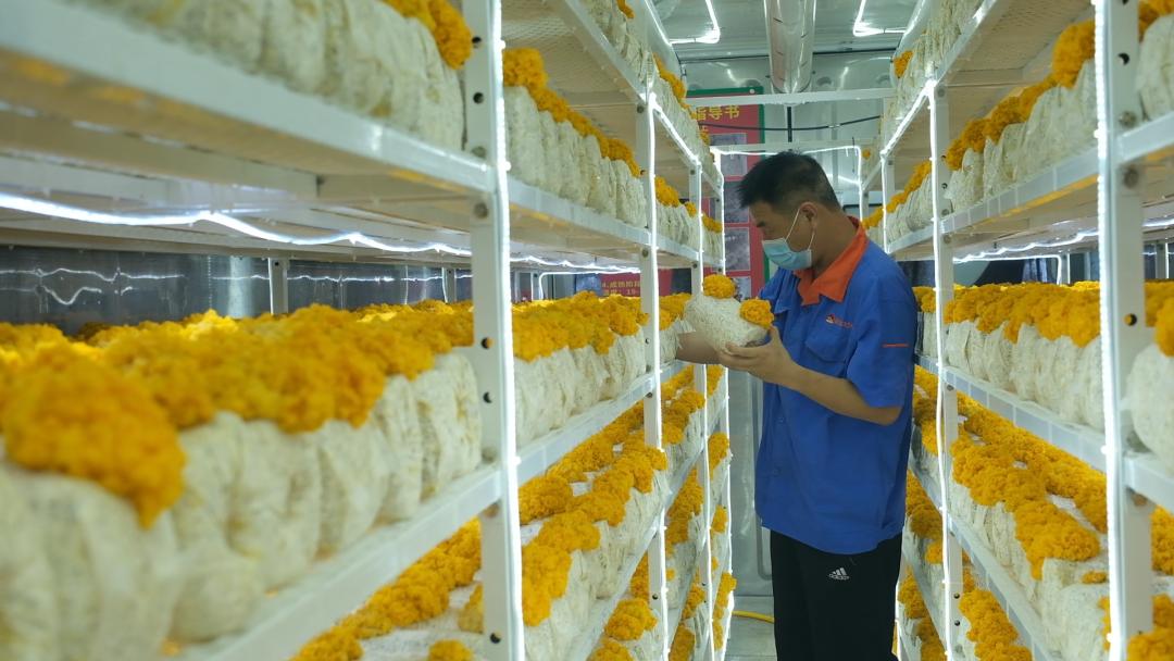 ɽ|fS𡱮a(chn)I(y)ġƼ(wn)a(chn)